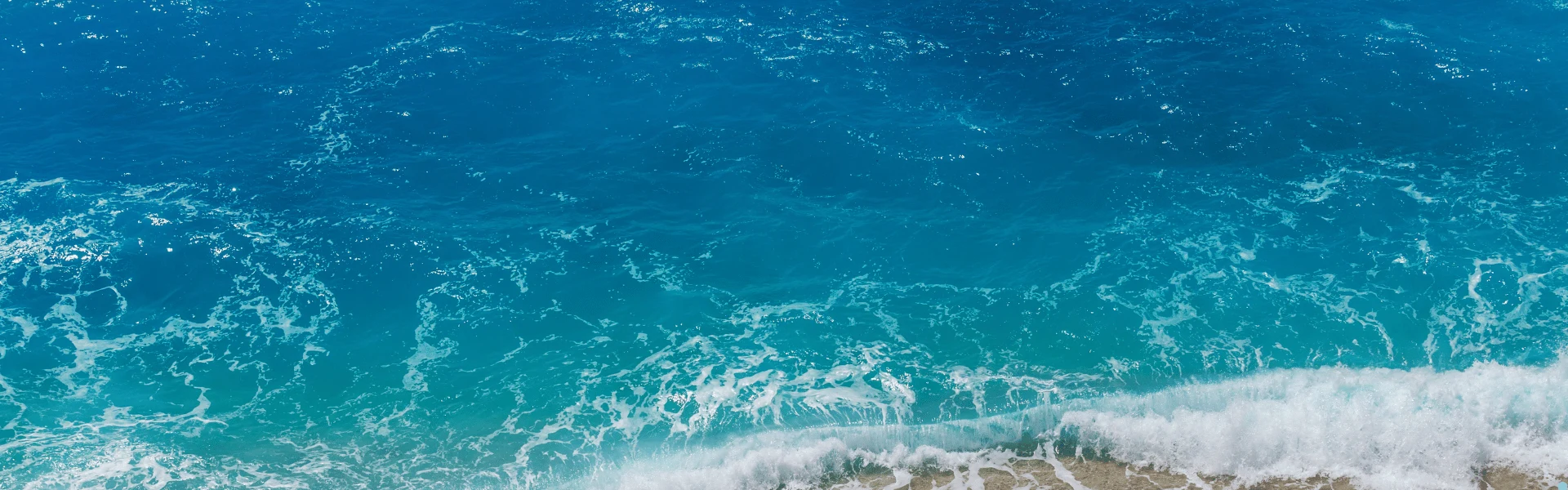 Princess Cruises, Cunard and Virgin Voyages discounts are unlocked once you join Rock The Boat